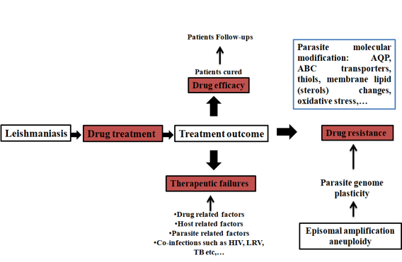 Factors leading to treatment failure and drug resistance in Leishmania