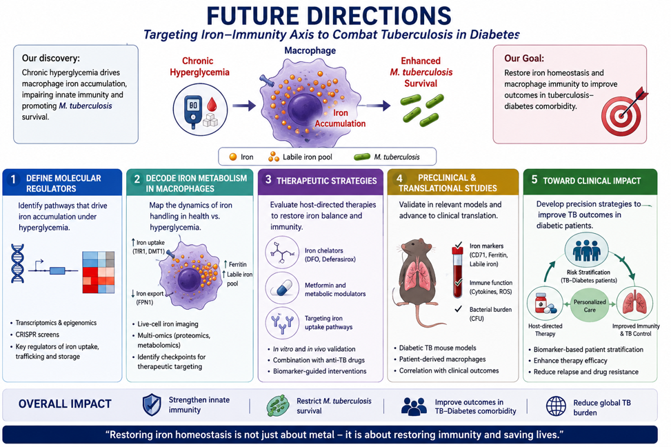 Targeting the Iron–Immunity Axis: Future Strategies to Restore Macrophage Host Defense Against Tuberculosis in Diabetes