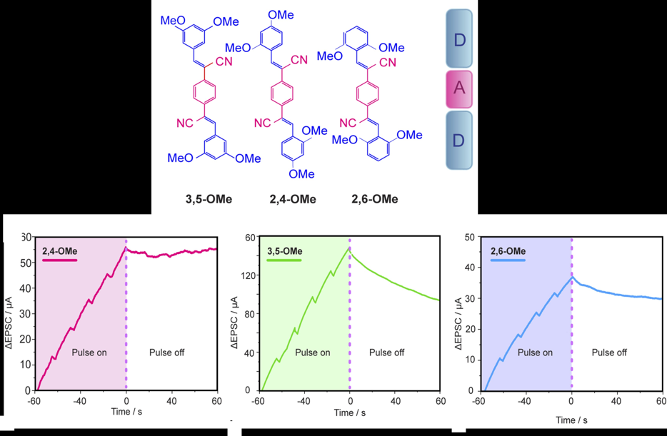 Structures of the DAD molecules and changes in EPSC in response to 365 nm light pulses (10 s duration, 2 s interval) at a +100 mV bias