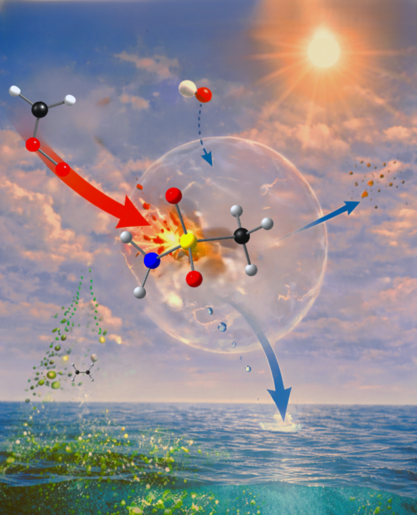 Figure 1: An artistic representation of the removal path of methane sulfonamide in the marine environment. An artistic representation of different transformation paths of methane sulfonamide in the marine environment leading to aerosol formation. A fast reaction with Criegee intermediate is depicted by the solid red arrow.