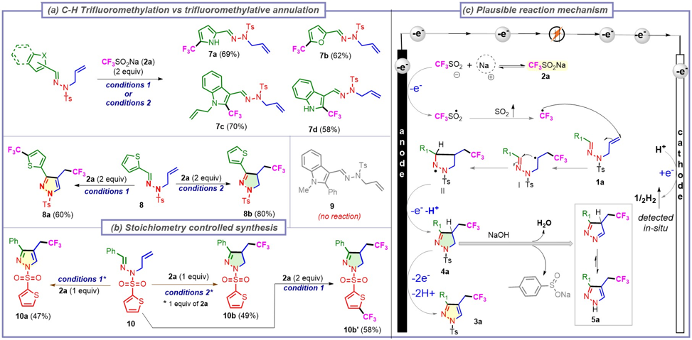 Figure 2: Regioselective radical trifluoromethylative annulation vs C-H trifluoromethylation. (a) C-H trifluoromethylation vs trifluoromethylative annulation, (b) stoichiometry-controlled trifluoromethylative annulation, and (c) plausible reaction mechanism.