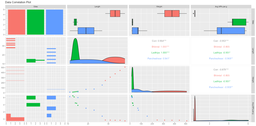 Figure 1: Microplastic abundance in the gastrointestinal tract and muscle tissue of Tor putitora across sampling sites. Mean microplastic abundance (items per gram of tissue) in (A) the gastrointestinal tract and (B) muscle of the Golden Mahseer at Bhimtal Lake, Ladhiya River, and Pancheshwar (n = 30 per site). Error bars represent mean plus or minus SD; different letters indicate significant differences among sites (p < 0.05).