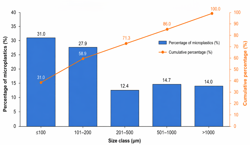 Figure 2: Size distribution of microplastics recovered from Tor putitora. Percentage of microplastics per size class with cumulative percentage. Particles 500 micrometres or smaller accounted for 71.3% of all microplastics, with the smallest size classes most abundant.