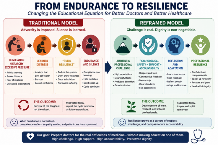 Figure 2. From Endurance to Resilience.