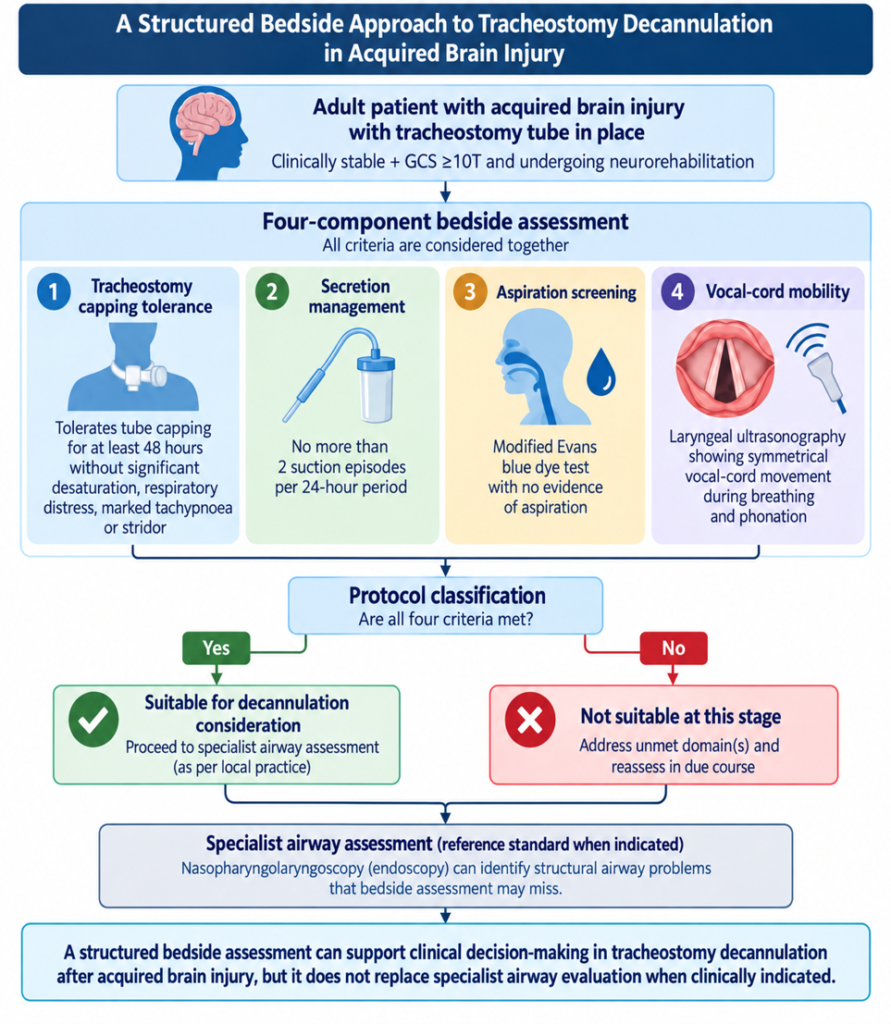 Figure 1. A structured bedside approach to tracheostomy decannulation after acquired brain injury. Conceptual representation of the four components evaluated in the prospective bedside protocol. The protocol is intended to support clinical decision-making and does not replace specialist airway evaluation when clinically indicated.
